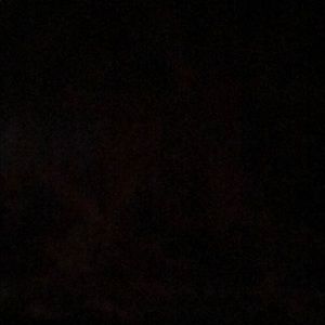 Meet your Posher, Larissa